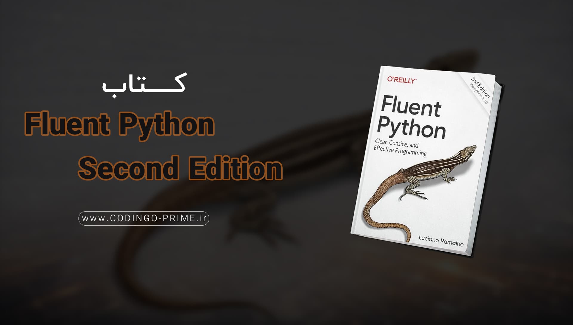 Fluent Python Second Edition