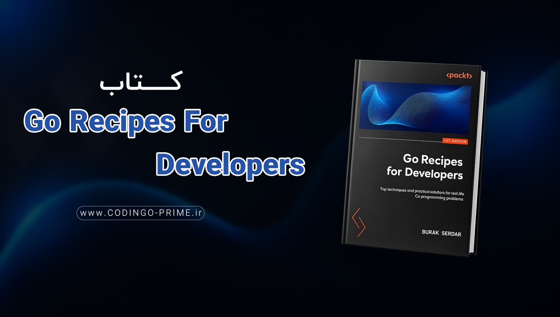 Go Recipes For Developers