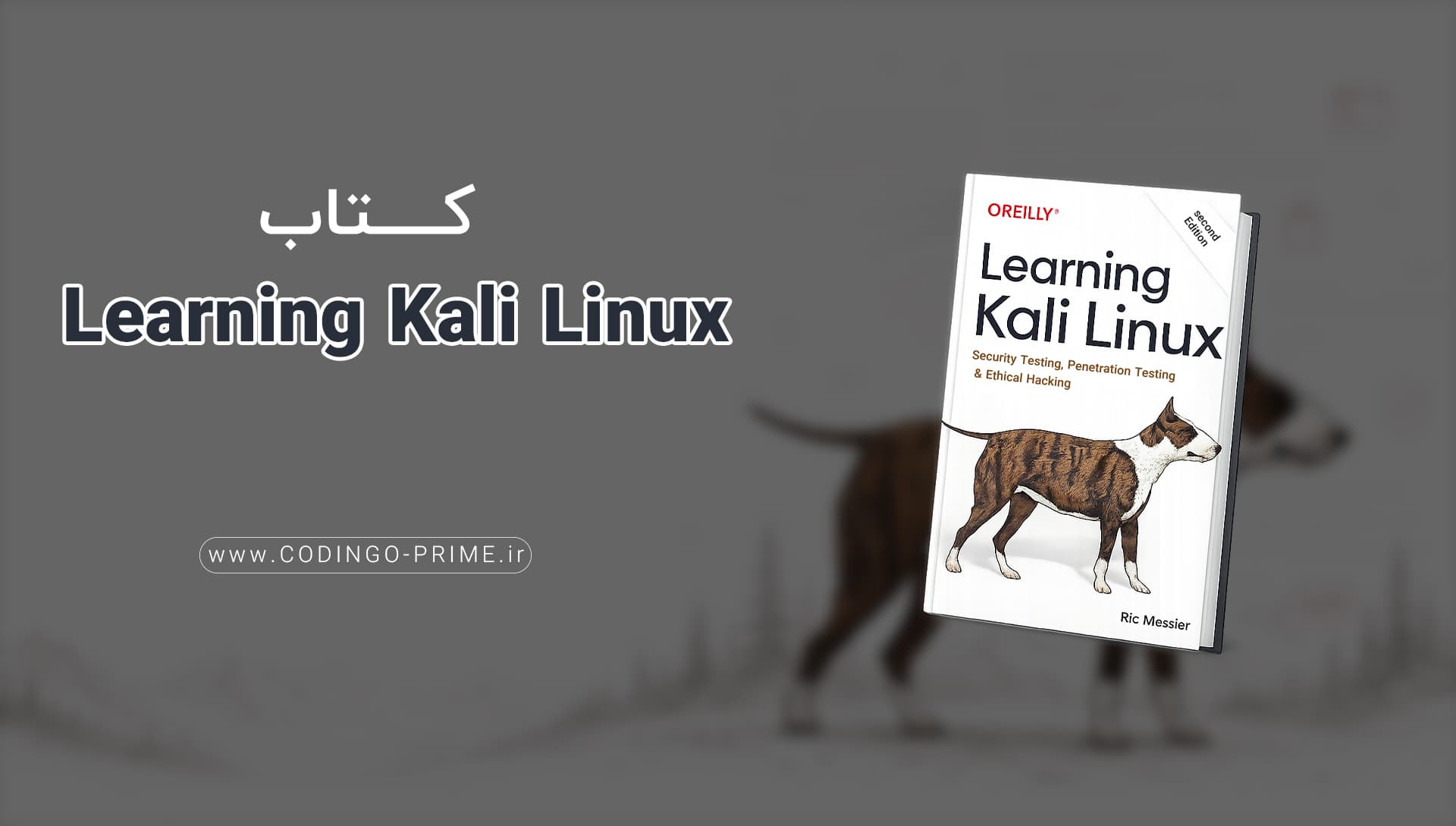 Learning Kali Linux