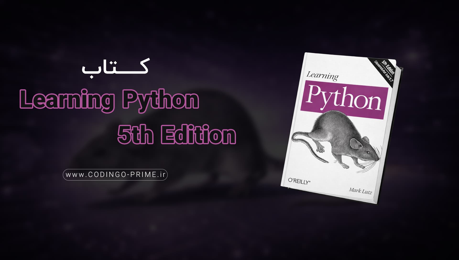 Learning Python 5th Edition