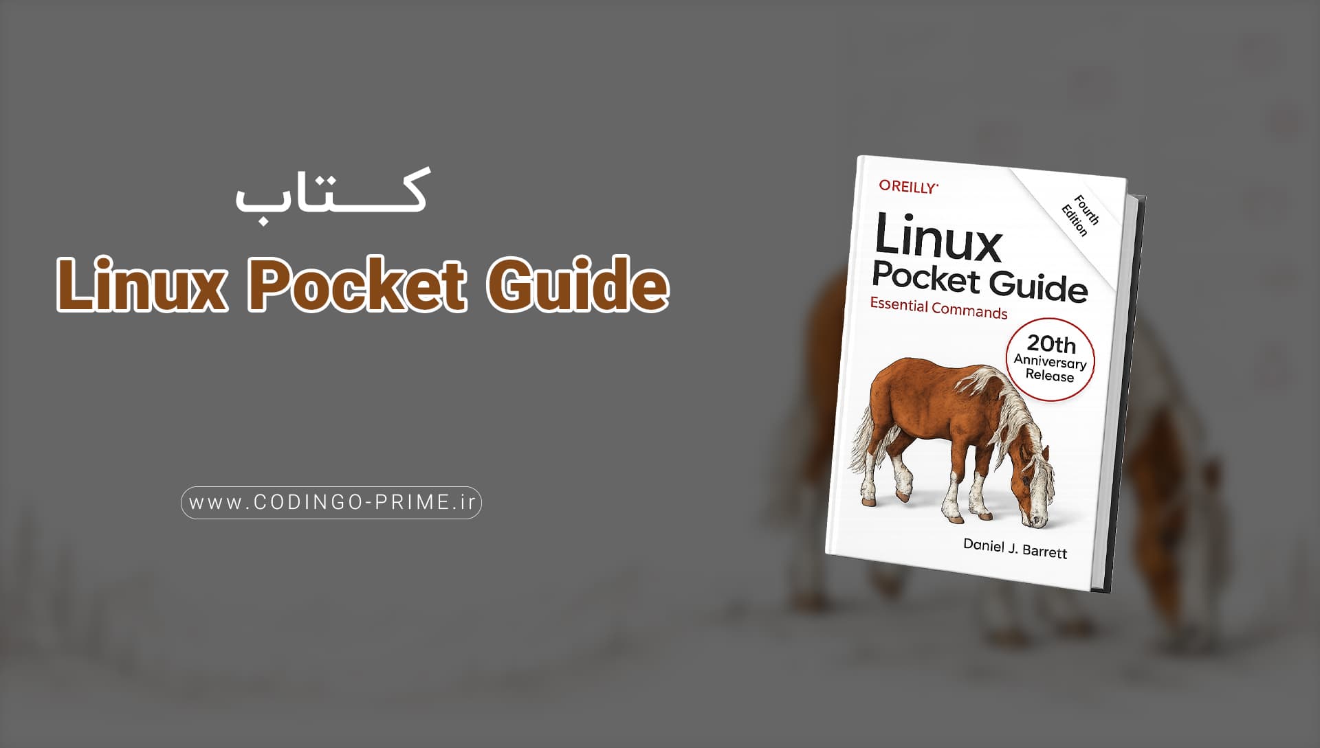 Linux Pocket Guide