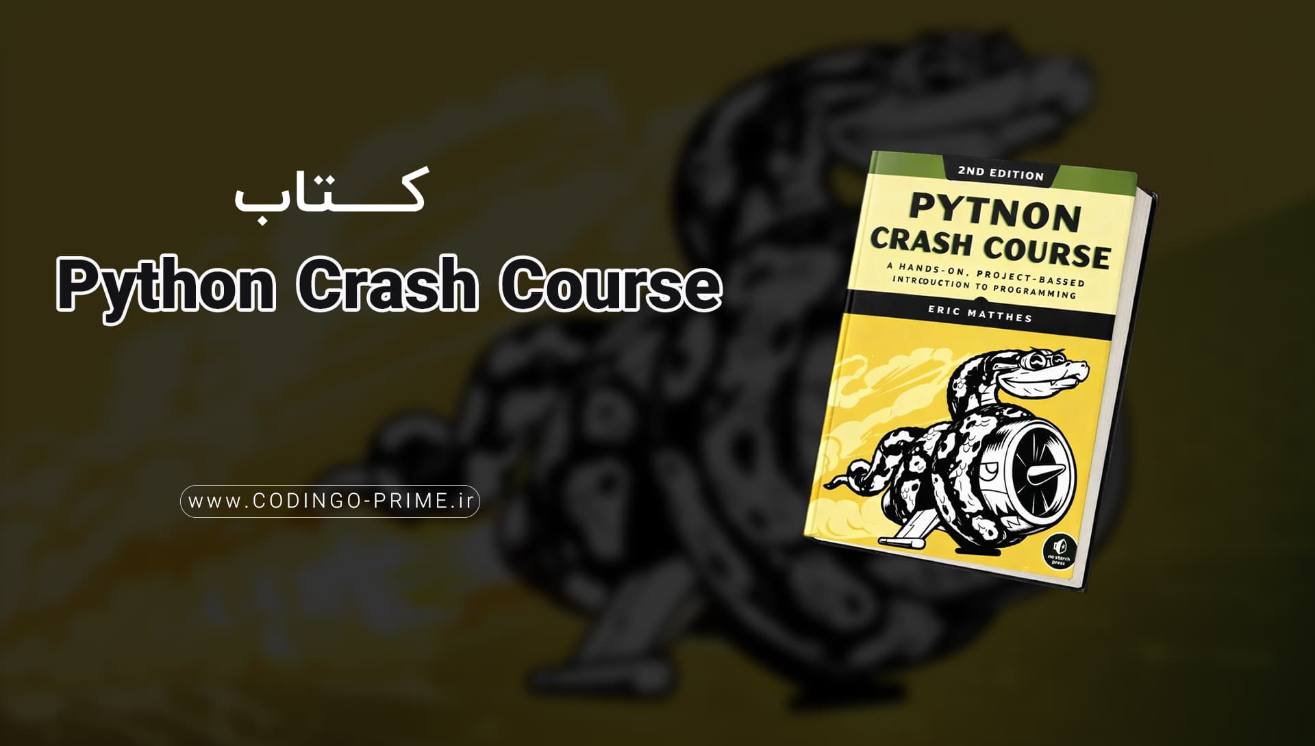 Python Crash Course