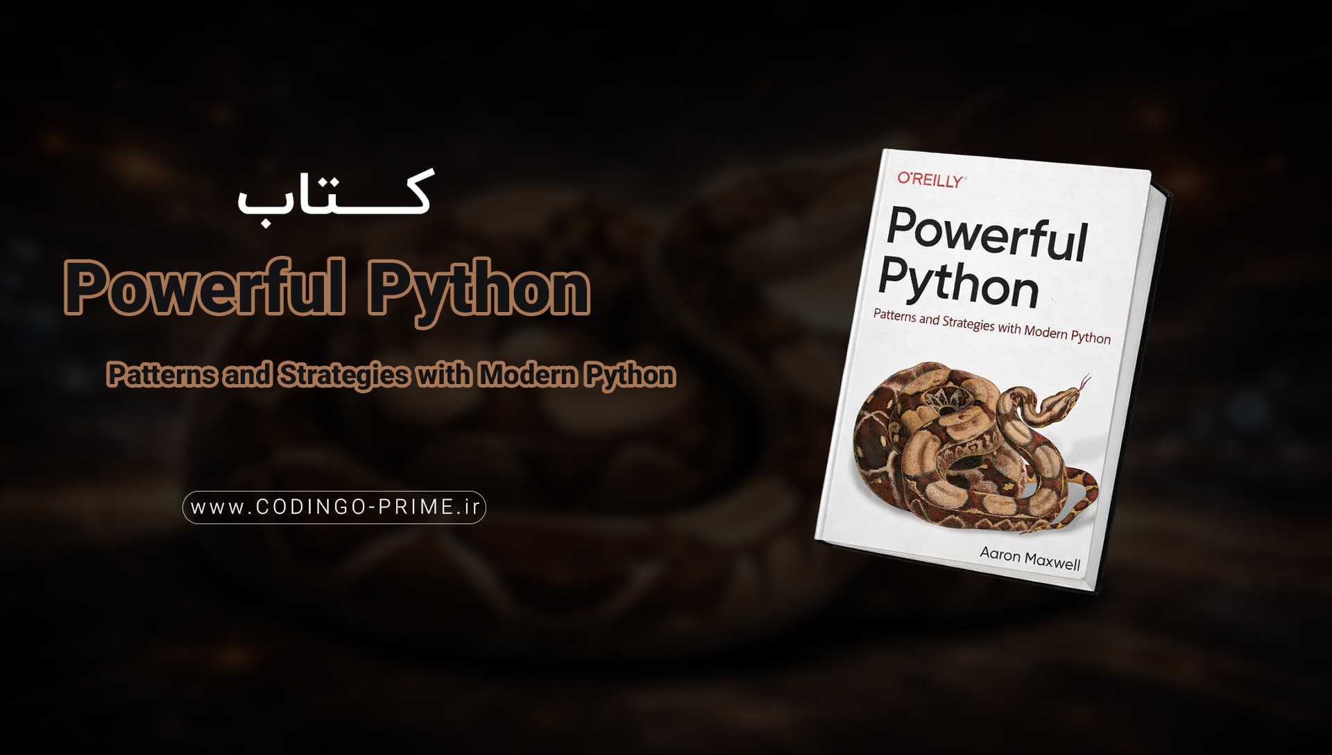 Powerful Python Patterns and Strategies with Modern Python